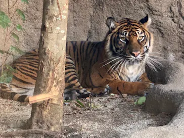 神戸どうぶつ王国に投稿された画像（2021/11/29）