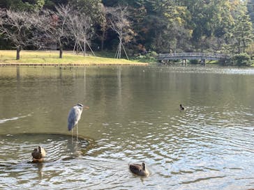 三溪園に投稿された画像（2021/11/29）