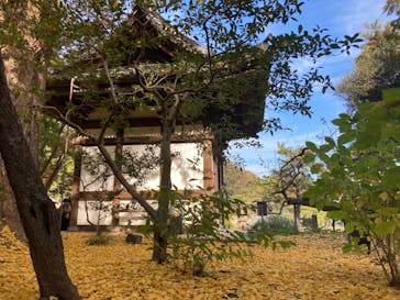 三溪園に投稿された画像（2021/11/29）