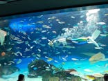 サンシャイン水族館に投稿された画像（2021/11/29）