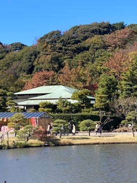 三溪園に投稿された画像（2021/11/29）