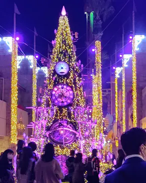 ひらかたパークに投稿された画像（2021/11/29）