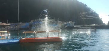 下田海中水族館に投稿された画像（2021/11/29）