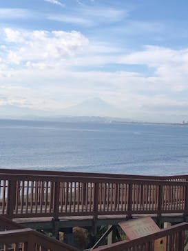 新江ノ島水族館に投稿された画像（2021/11/29）