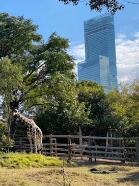 天王寺動物園に投稿された画像（2021/11/29）
