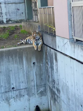 天王寺動物園に投稿された画像（2021/11/29）