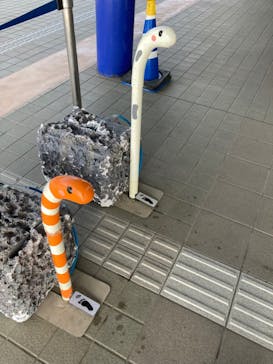 アクアワールド茨城県大洗水族館に投稿された画像（2021/11/29）