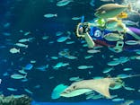 サンシャイン水族館に投稿された画像（2021/11/29）