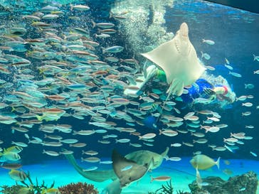 サンシャイン水族館に投稿された画像（2021/11/29）