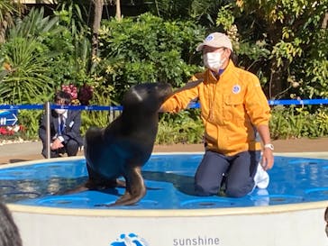 サンシャイン水族館に投稿された画像（2021/11/29）