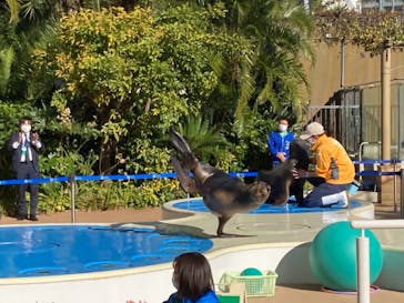 サンシャイン水族館に投稿された画像（2021/11/29）