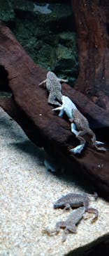 サンシャイン水族館に投稿された画像（2021/11/29）