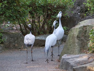 伊豆シャボテン動物公園に投稿された画像（2021/11/29）