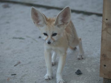伊豆シャボテン動物公園に投稿された画像（2021/11/29）