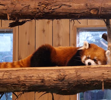 伊豆シャボテン動物公園に投稿された画像（2021/11/29）