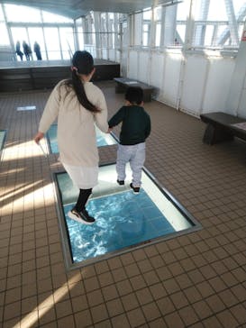 徳島県立 渦の道に投稿された画像（2021/11/29）