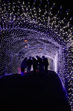 ひらかたパークに投稿された画像（2021/11/29）