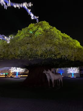 東京メガイルミに投稿された画像（2021/11/29）