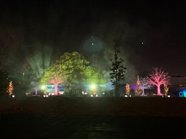 東京メガイルミに投稿された画像（2021/11/29）