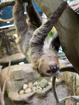 那須どうぶつ王国に投稿された画像（2021/11/29）