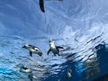 サンシャイン水族館に投稿された画像（2021/11/29）