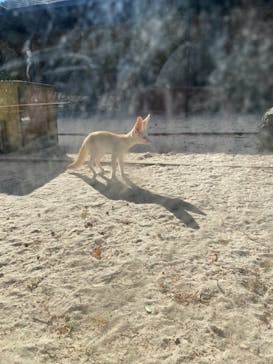 伊豆シャボテン動物公園に投稿された画像（2021/11/29）