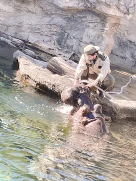 天王寺動物園に投稿された画像（2021/11/29）