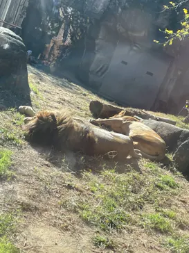 天王寺動物園に投稿された画像（2021/11/29）