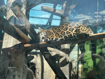 天王寺動物園に投稿された画像（2021/11/29）