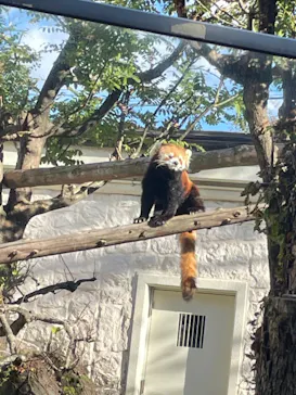 天王寺動物園に投稿された画像（2021/11/29）