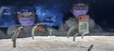 すみだ水族館に投稿された画像（2021/11/29）