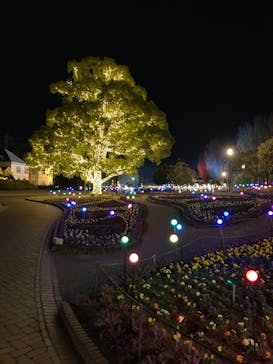 安城産業文化公園デンパークに投稿された画像（2021/11/29）