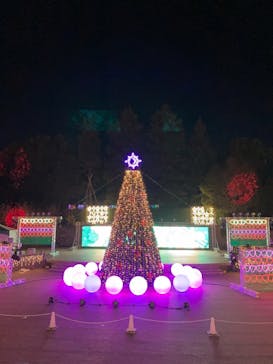 安城産業文化公園デンパークに投稿された画像（2021/11/29）