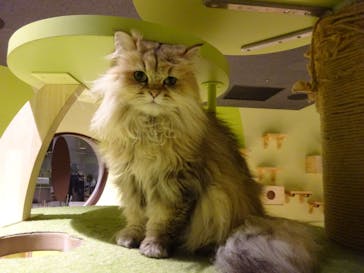 Moff animal world MARK IS みなとみらい店に投稿された画像（2021/11/30）