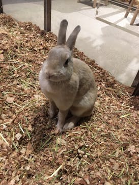 Moff animal world MARK IS みなとみらい店に投稿された画像（2021/11/30）