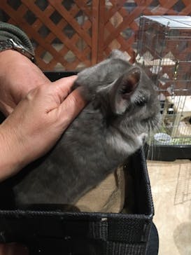 Moff animal world MARK IS みなとみらい店に投稿された画像（2021/11/30）