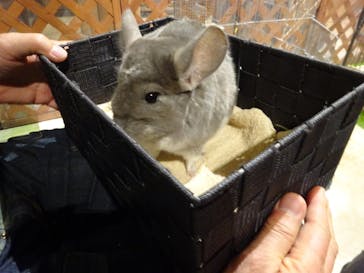 Moff animal world MARK IS みなとみらい店に投稿された画像（2021/11/30）