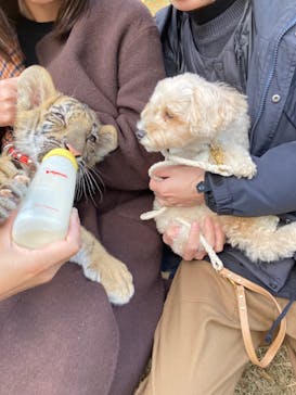 しろとり動物園に投稿された画像（2021/11/30）