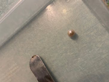 しながわ水族館に投稿された画像（2021/11/30）