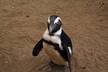 ゼロ距離水族館 伊勢シーパラダイスに投稿された画像（2021/11/30）