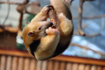 神戸どうぶつ王国に投稿された画像（2021/11/30）