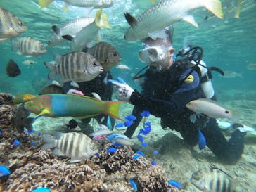 武藤潜水に投稿された画像（2021/11/30）