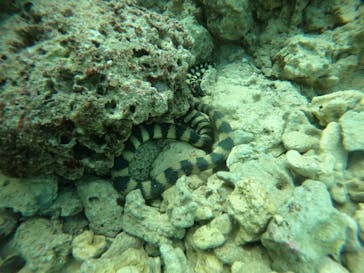 武藤潜水に投稿された画像（2021/11/30）