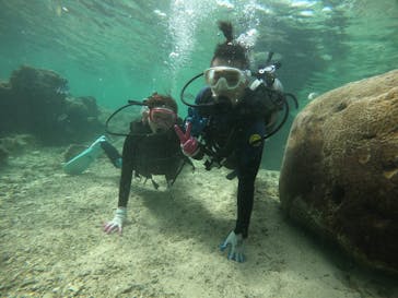 武藤潜水に投稿された画像（2021/11/30）