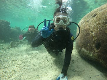 武藤潜水に投稿された画像（2021/11/30）