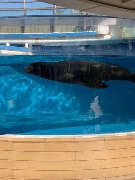 サンシャイン水族館に投稿された画像（2021/11/30）