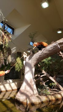 那須どうぶつ王国に投稿された画像（2021/11/30）