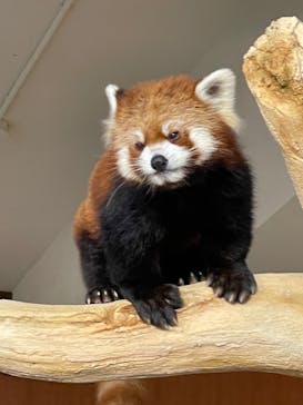 ネオパークオキナワに投稿された画像（2021/11/30）