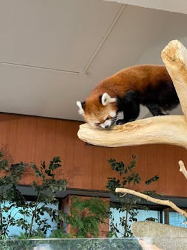 ネオパークオキナワに投稿された画像（2021/11/30）