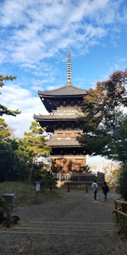 三溪園に投稿された画像（2021/11/30）